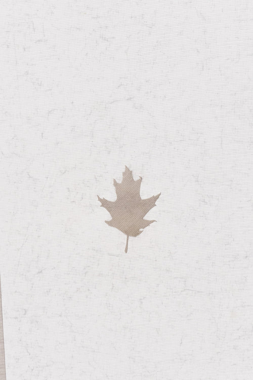 Tidewater Leaf Patch 4.5"