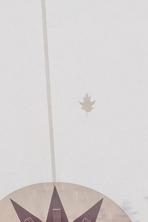 Tidewater Leaf Patch 4.5"